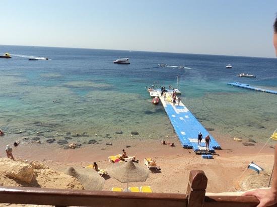 Shark’s Bay Spiagge Egitto
