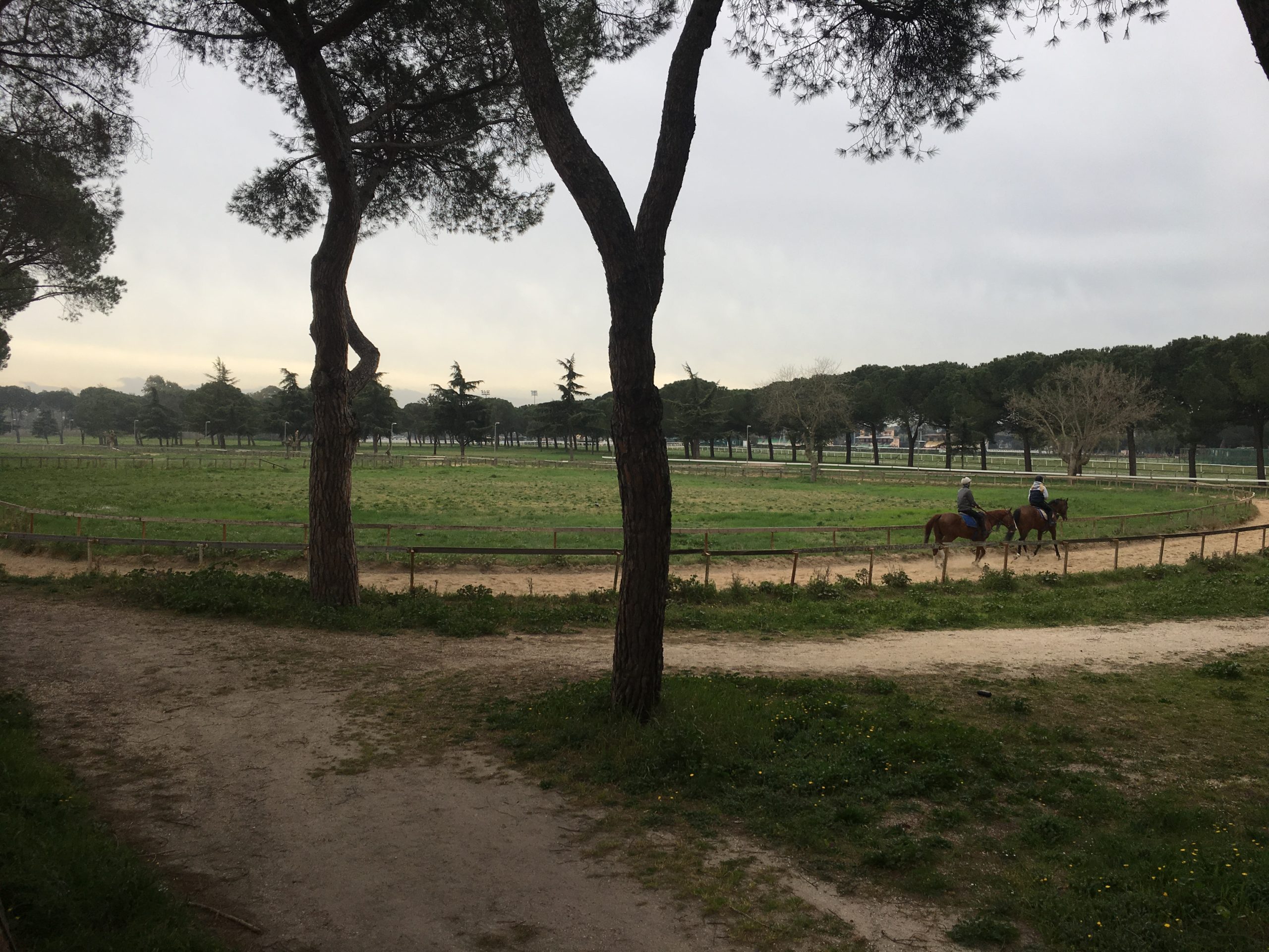 Vista dell Ippodromo delle Capannelle a Roma