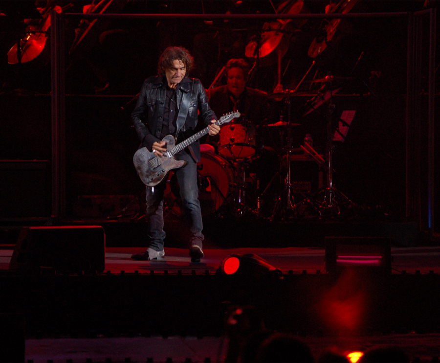 Luciano Ligabue in concerto