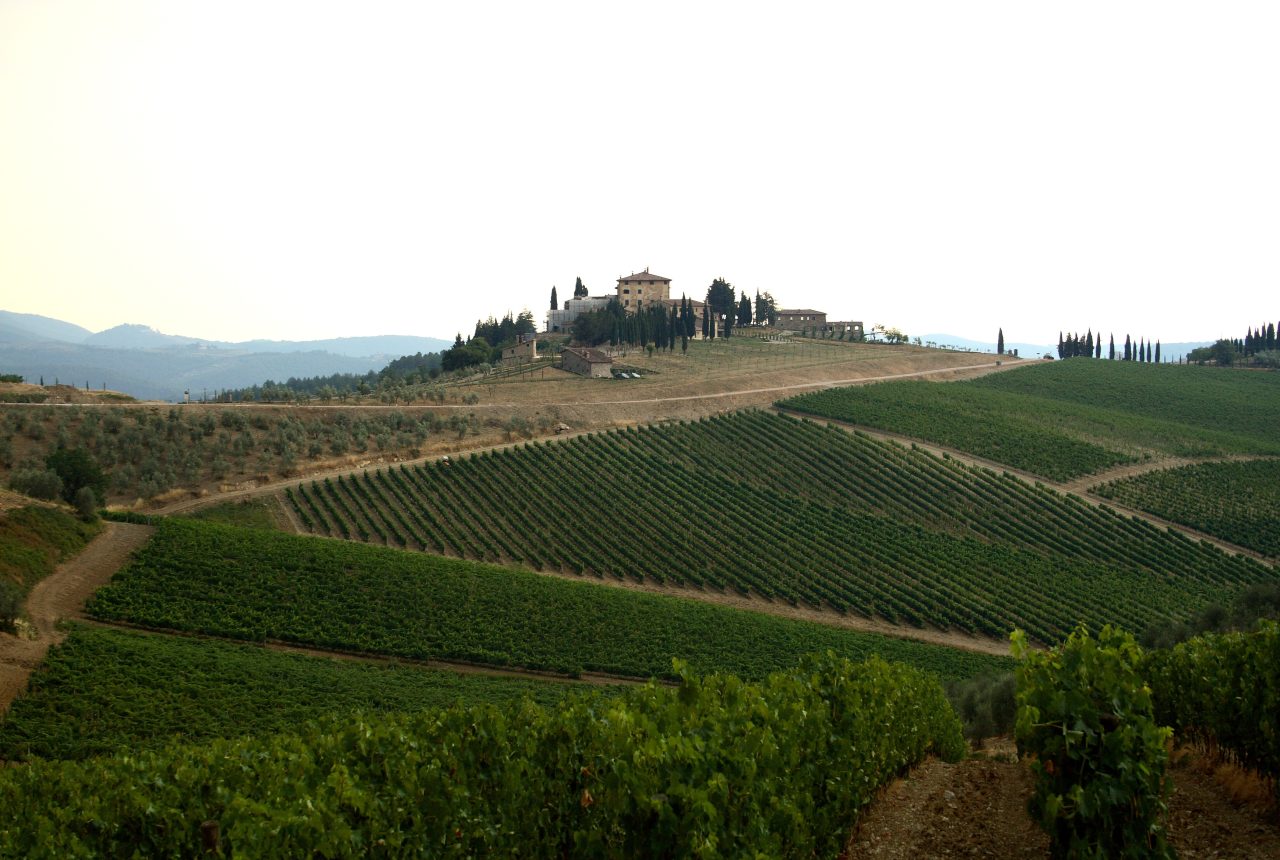 Vigneti nel Chianti in Toscana