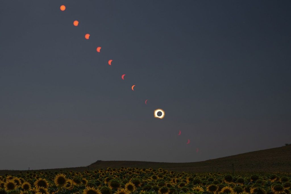Sequenza della totalità dell’eclissi solare 2026 sopra un campo di girasoli