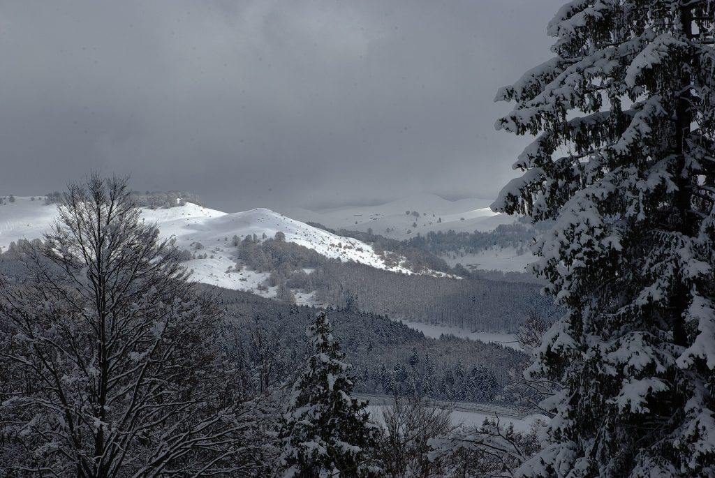 Bosco Chiesanuova in Lessinia