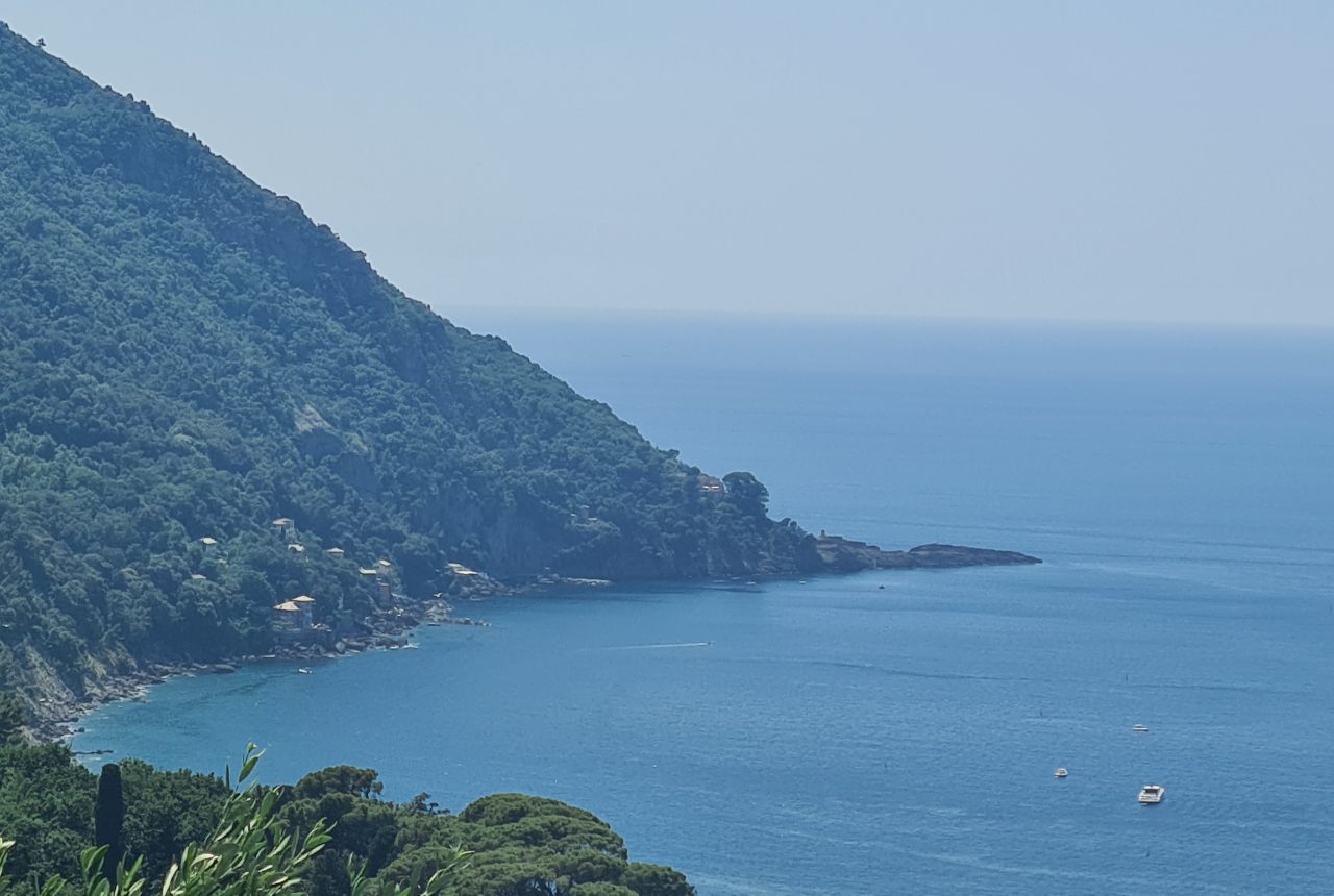Punta Chiappa vista da ovest a Camogli