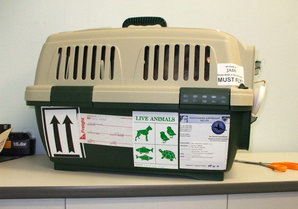 Trasportino per animali da viaggio in aereo