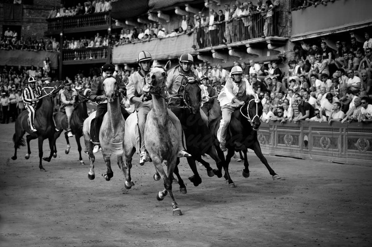 Cavalli e fantini durante il Palio di Siena in Piazza del Campo