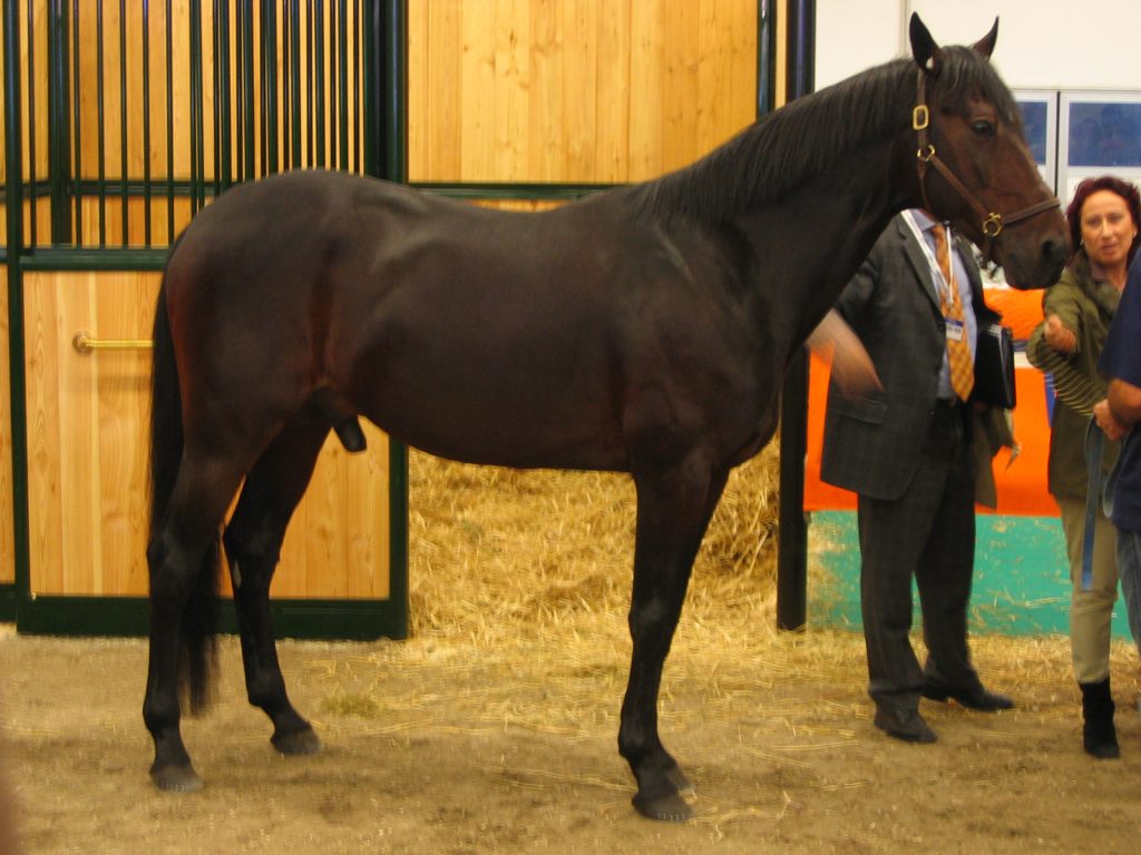 Varenne a Fieracavalli Verona nel 2004