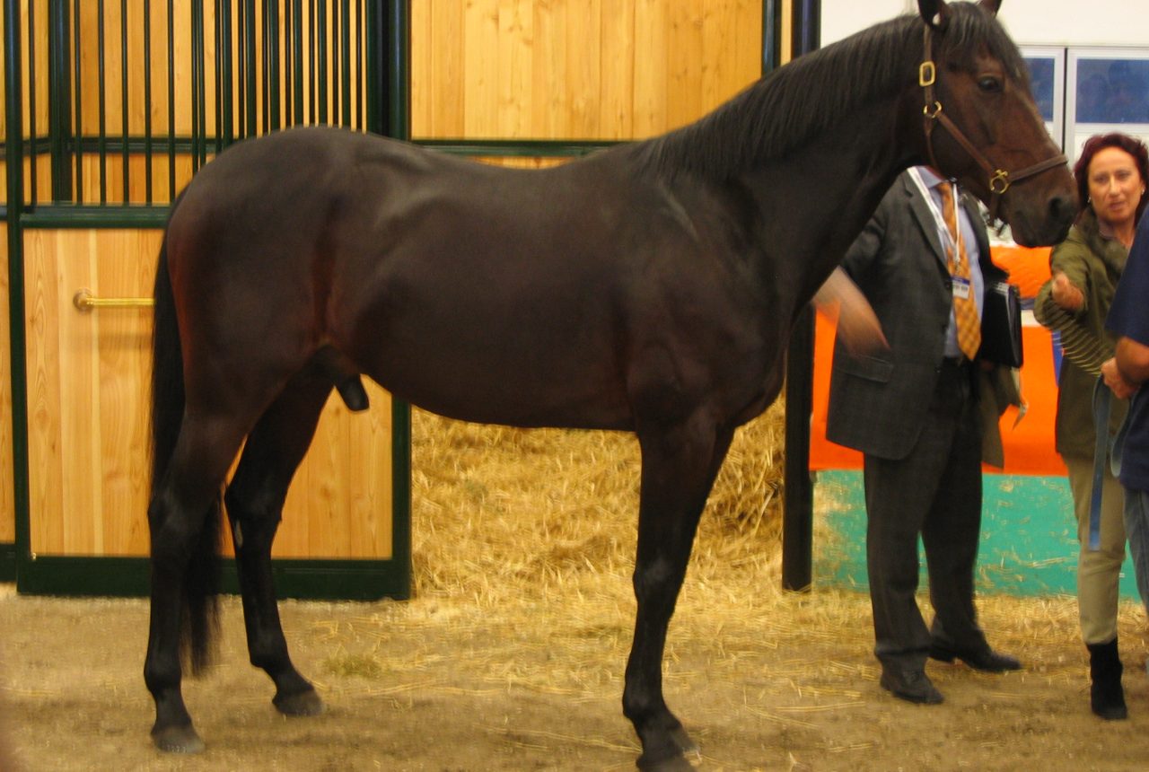 Varenne a Fieracavalli Verona nel 2004