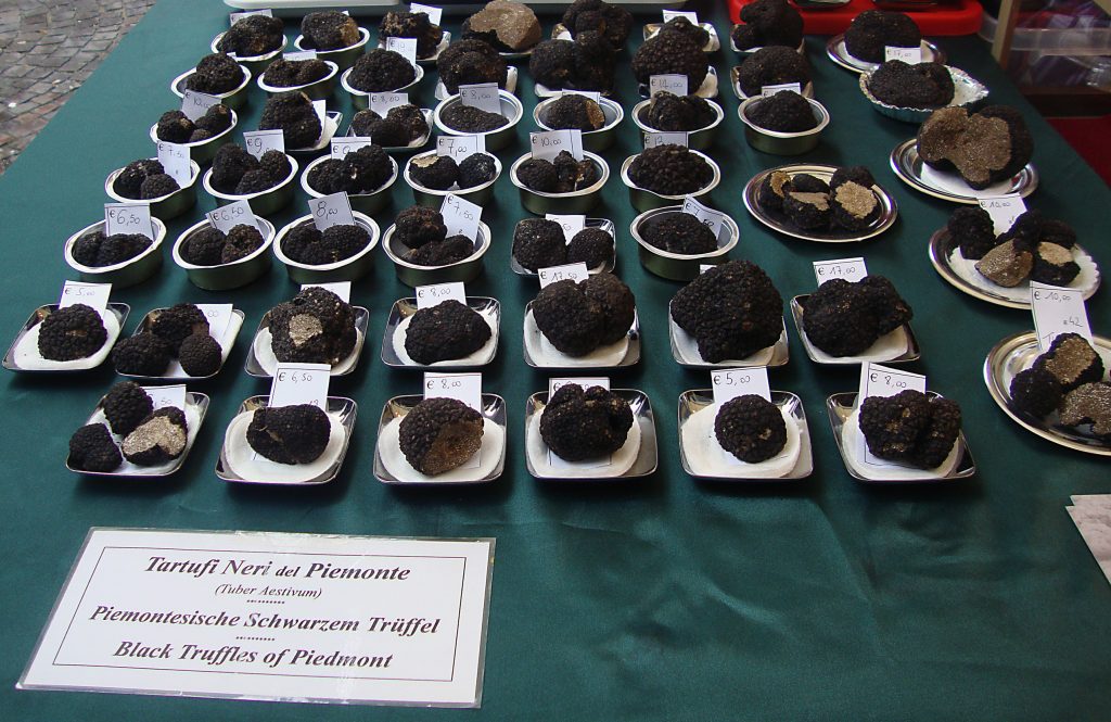 Tartufi alla Fiera del Tartufo di Alba