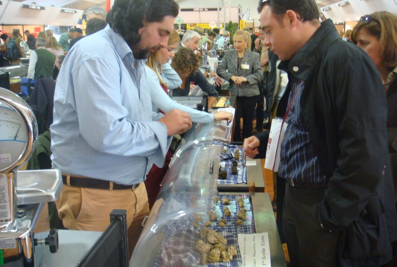 Mercato delle truffe bianche di Alba