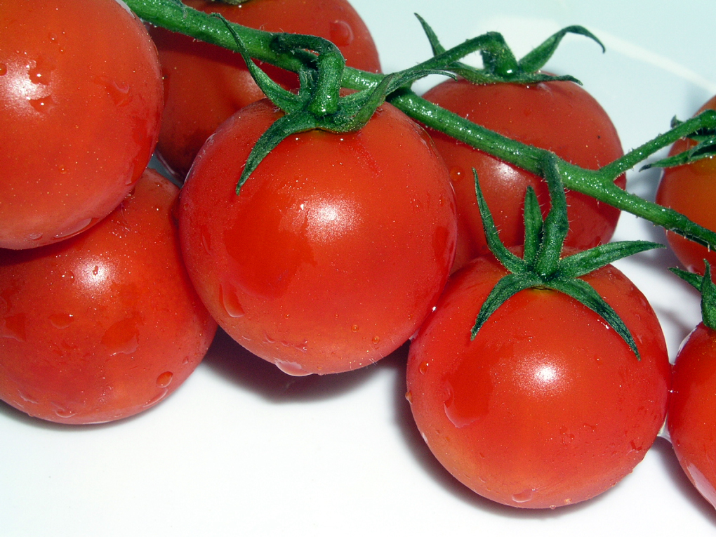Pomodori ciliegino su fondo neutro